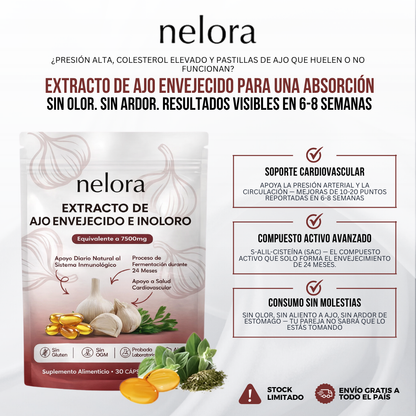 Nelora® Regulador para Bajar la Presión