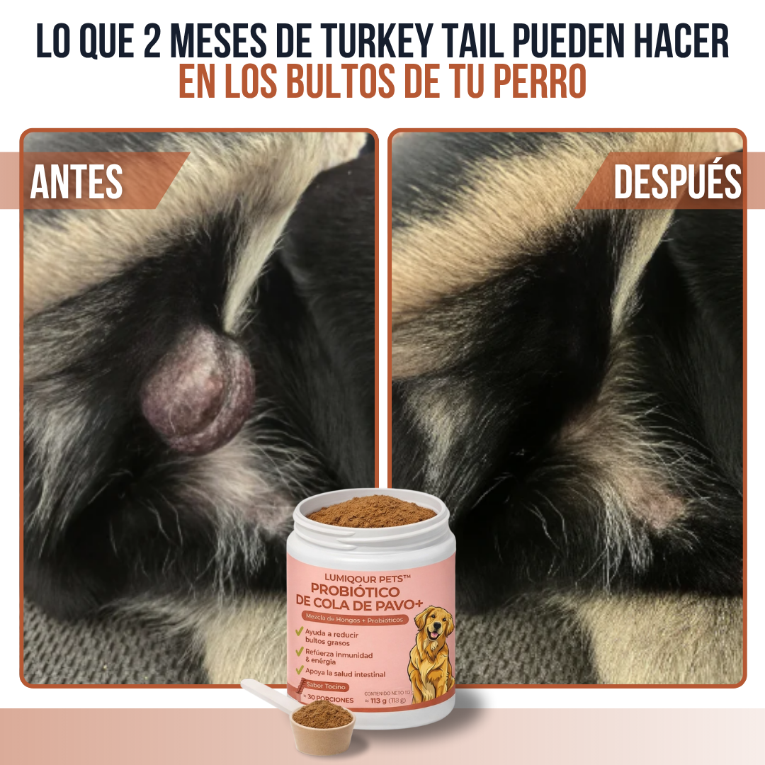 Lumiqour™ Turkey Tail+ Suplemento Probiótico para Perros