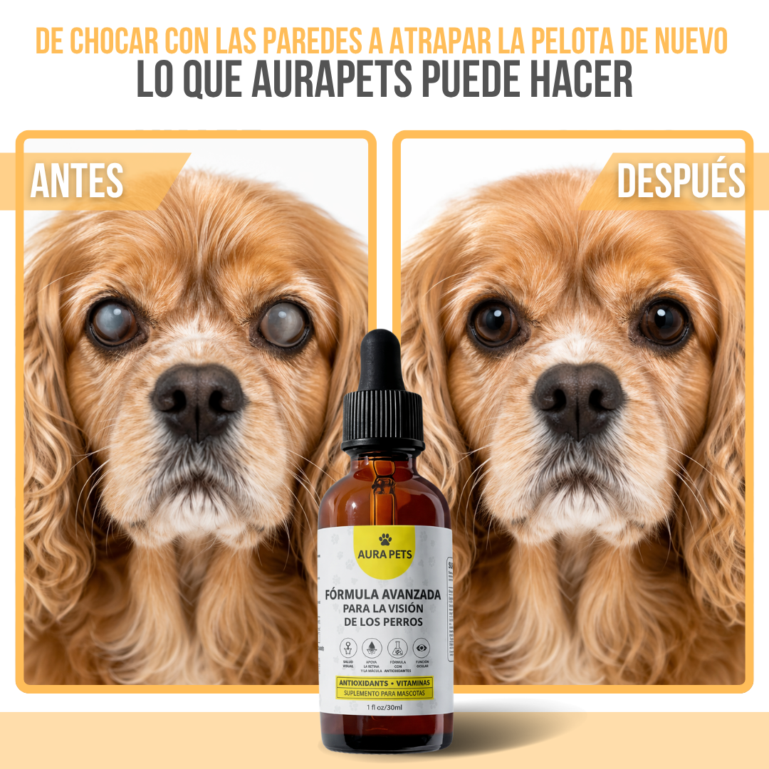 AuraPets™ Nano-Gotas Sublinguales para Ojos de Mascota — Ojos Nublados, Lagrimeo y Legañas
