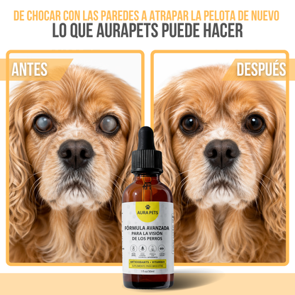 AuraPets™ Nano-Gotas Sublinguales para Ojos de Mascota — Ojos Nublados, Lagrimeo y Legañas