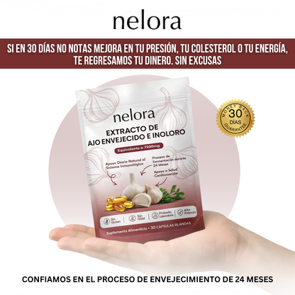 Nelora® Regulador para Bajar la Presión