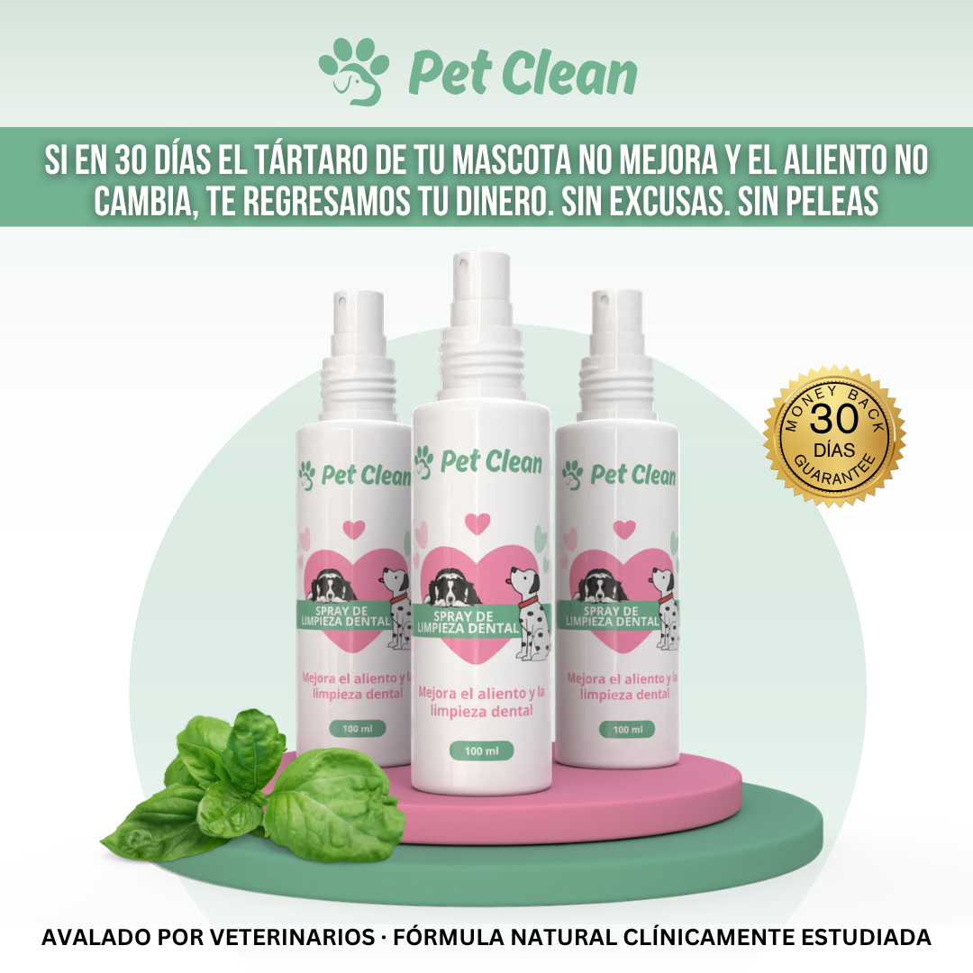PetClean™ — Dientes Limpios, Sin Cepillo y Sin Veterinario