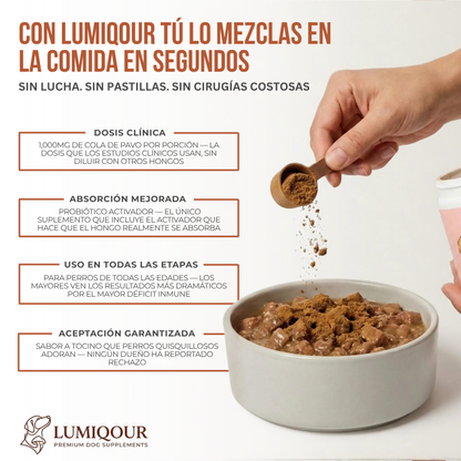 Lumiqour™ Turkey Tail+ Suplemento Probiótico para Perros