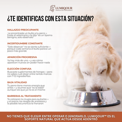 Lumiqour™ Turkey Tail+ Suplemento Probiótico para Perros