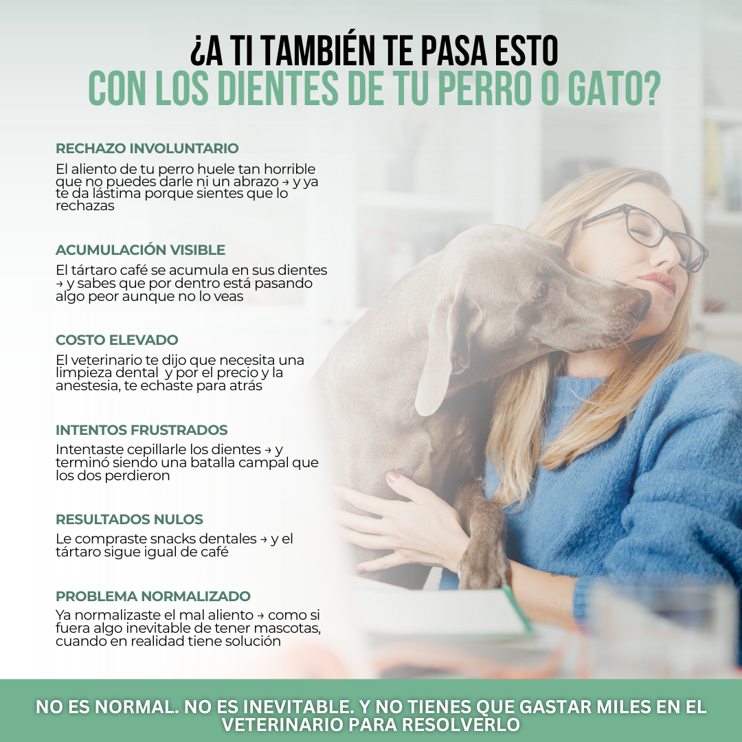 PetClean™ — Dientes Limpios, Sin Cepillo y Sin Veterinario.