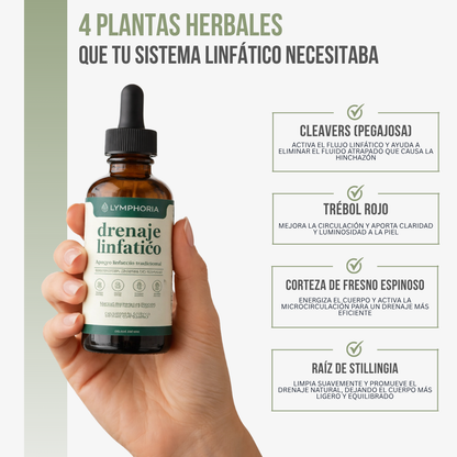 Lymphoria™ | Drenaje Linfático