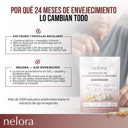 Nelora® Regulador para Bajar la Presión